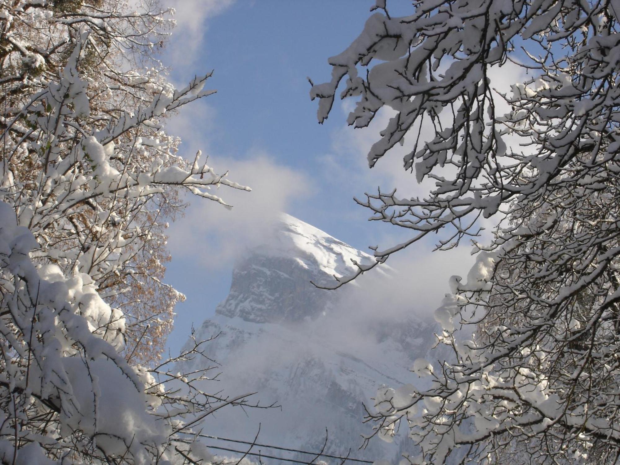 فندق Edelweiss سامووه المظهر الخارجي الصورة